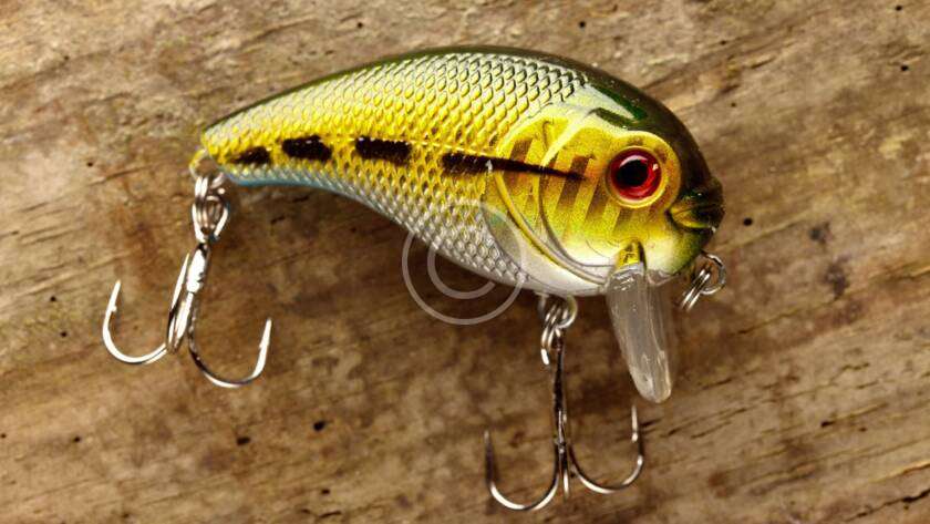 bass tournaments in oklahoma