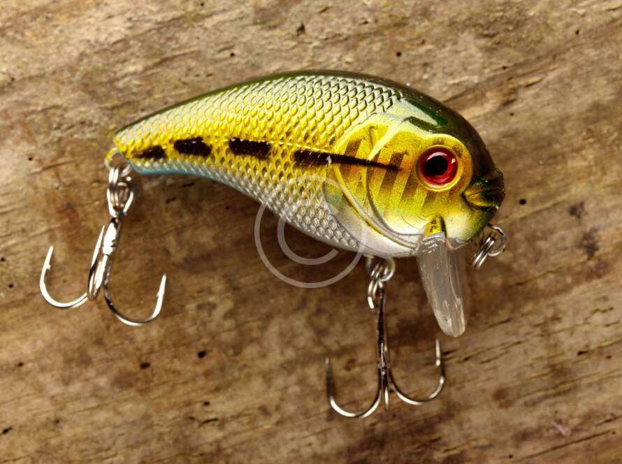 bass tournaments in oklahoma